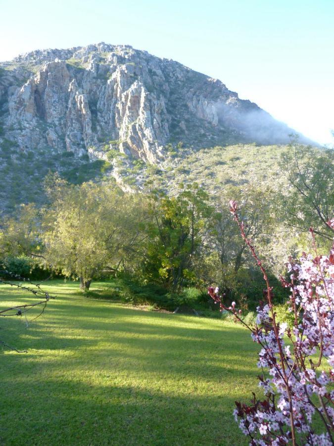 Porcupine Hills Olive And Guest Farm Villa Botrivier Buitenkant foto