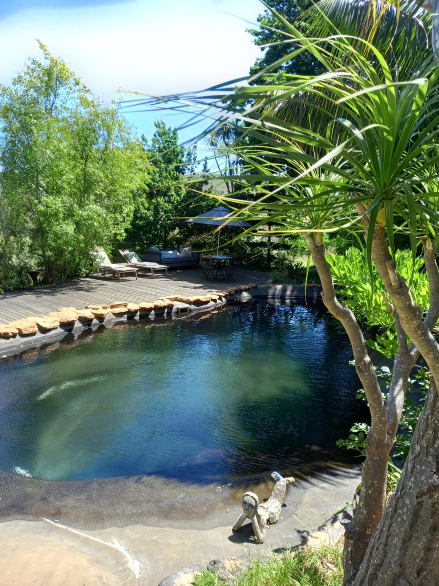 Porcupine Hills Olive And Guest Farm Villa Botrivier Buitenkant foto