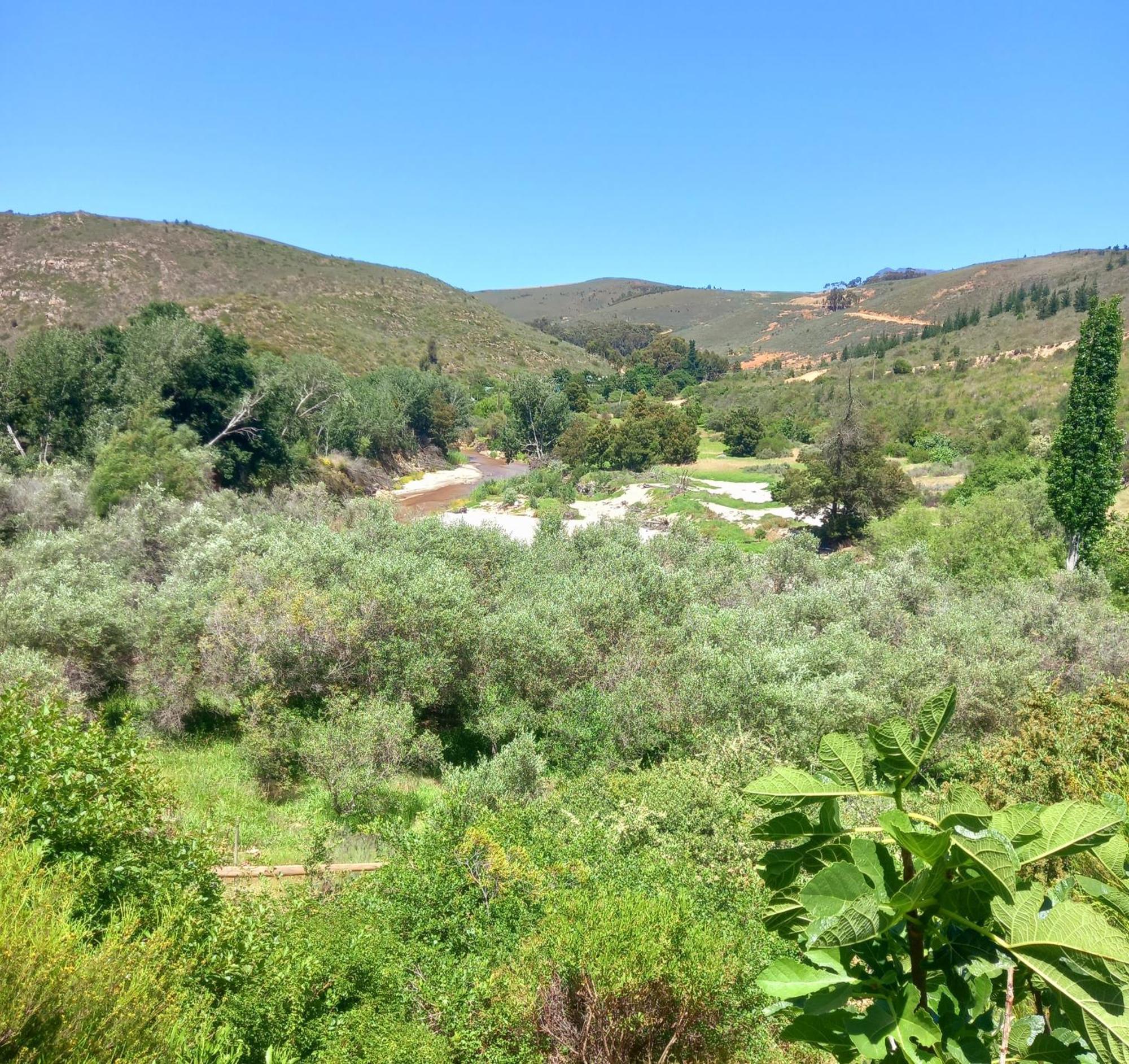 Porcupine Hills Olive And Guest Farm Villa Botrivier Buitenkant foto